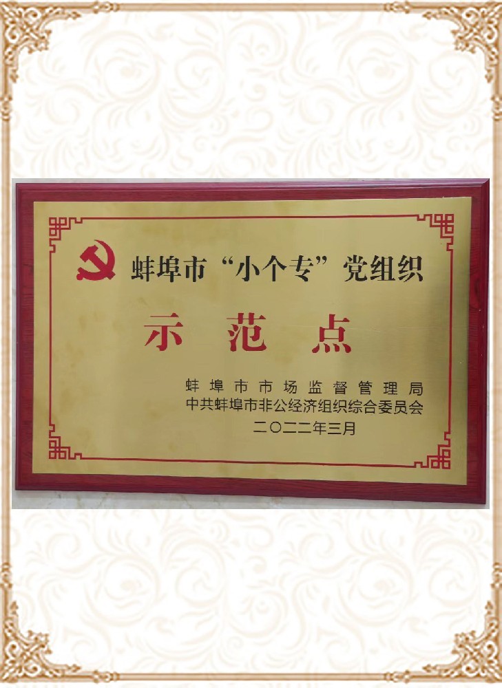 蚌埠市“小個(gè)?！秉h組織示范點(diǎn)