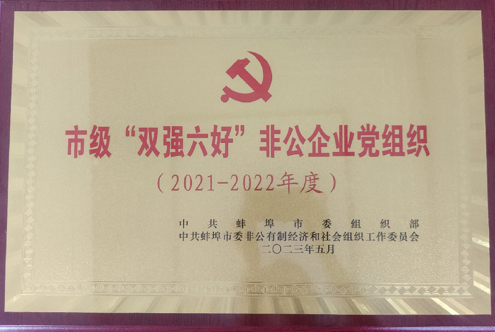 喜報！中共安徽盛世新能源材料科技有限公司支部委員會榮獲蚌埠市“雙強六好”非公企業(yè)黨組織榮譽稱號