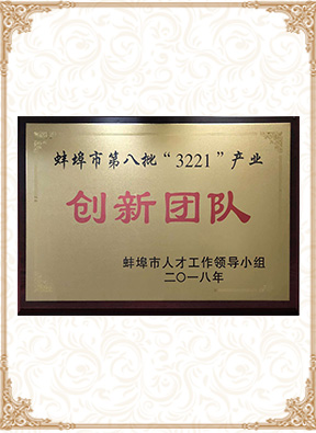 蚌埠市第八批3221創(chuàng)新團(tuán)隊